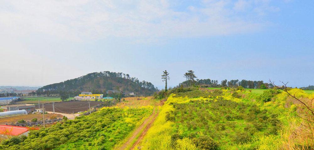 Attene Pension Jeju Exterior foto